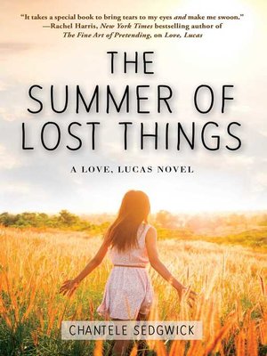 cover image of The Summer of Lost Things